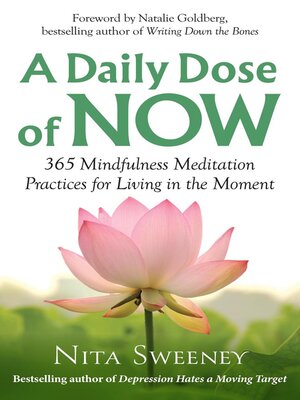 cover image of A Daily Dose of Now
